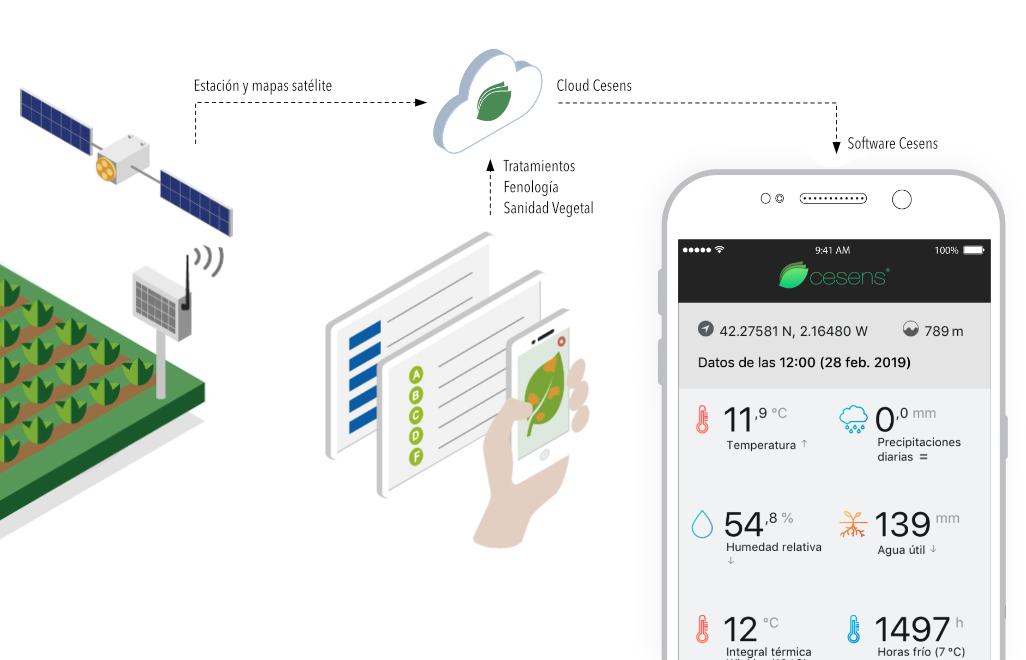 cesens crop monitoring